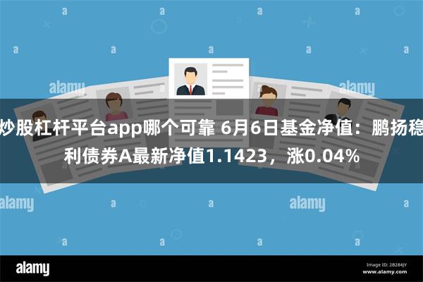 炒股杠杆平台app哪个可靠 6月6日基金净值：鹏扬稳利债券A最新净值1.1423，涨0.04%