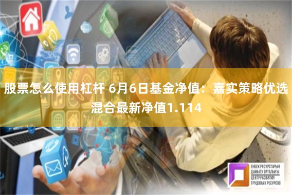 股票怎么使用杠杆 6月6日基金净值：嘉实策略优选混合最新净值1.114