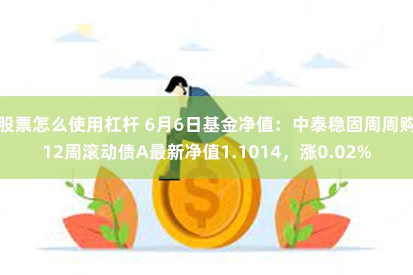 股票怎么使用杠杆 6月6日基金净值：中泰稳固周周购12周滚动债A最新净值1.1014，涨0.02%