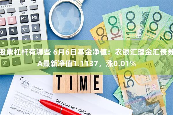 股票杠杆有哪些 6月6日基金净值：农银汇理金汇债券A最新净值1.1137，涨0.01%