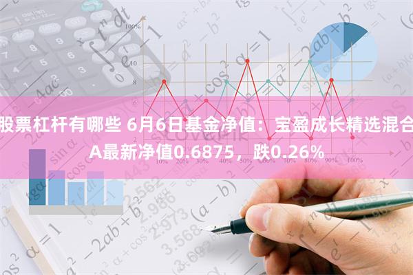 股票杠杆有哪些 6月6日基金净值：宝盈成长精选混合A最新净值0.6875，跌0.26%