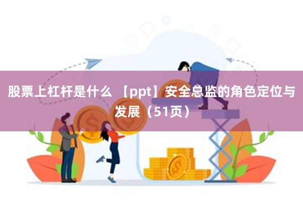 股票上杠杆是什么 【ppt】安全总监的角色定位与发展（51页）