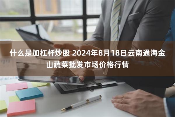 什么是加杠杆炒股 2024年8月18日云南通海金山蔬菜批发市场价格行情