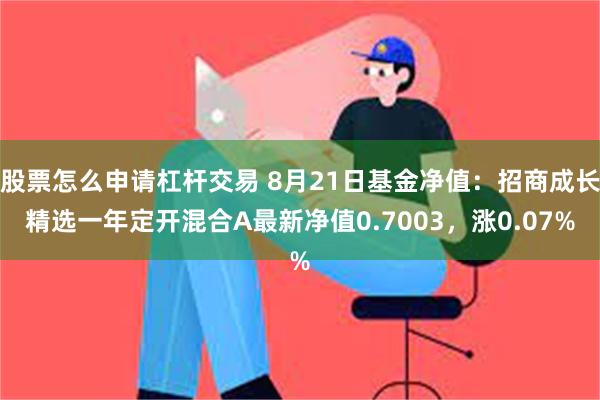 股票怎么申请杠杆交易 8月21日基金净值：招商成长精选一年定开混合A最新净值0.7003，涨0.07%