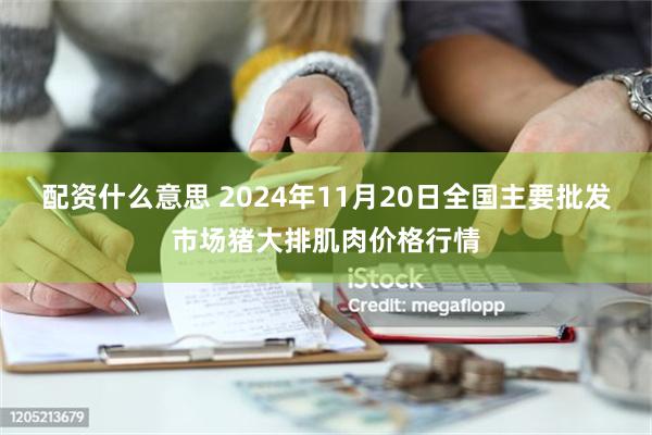 配资什么意思 2024年11月20日全国主要批发市场猪大排肌肉价格行情