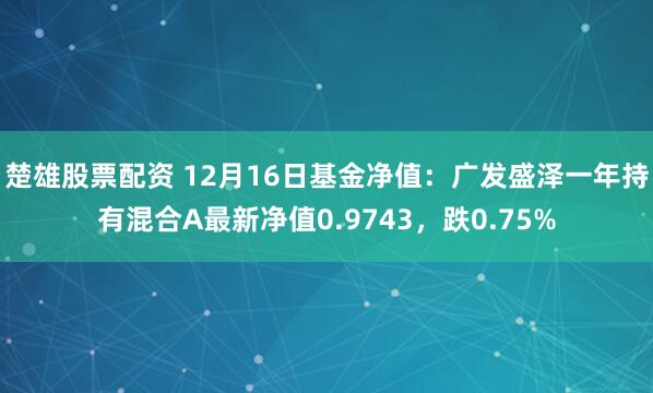 楚雄股票配资 12月16日基金净值：广发盛泽一年持有混合A最新净值0.9743，跌0.75%