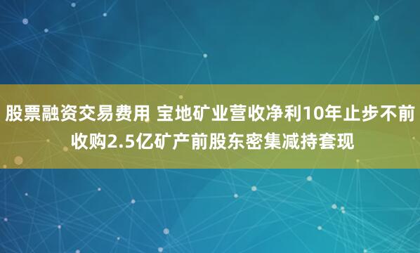 股票融资交易费用 宝地矿业营收净利10年止步不前 收购2.5亿矿产前股东密集减持套现